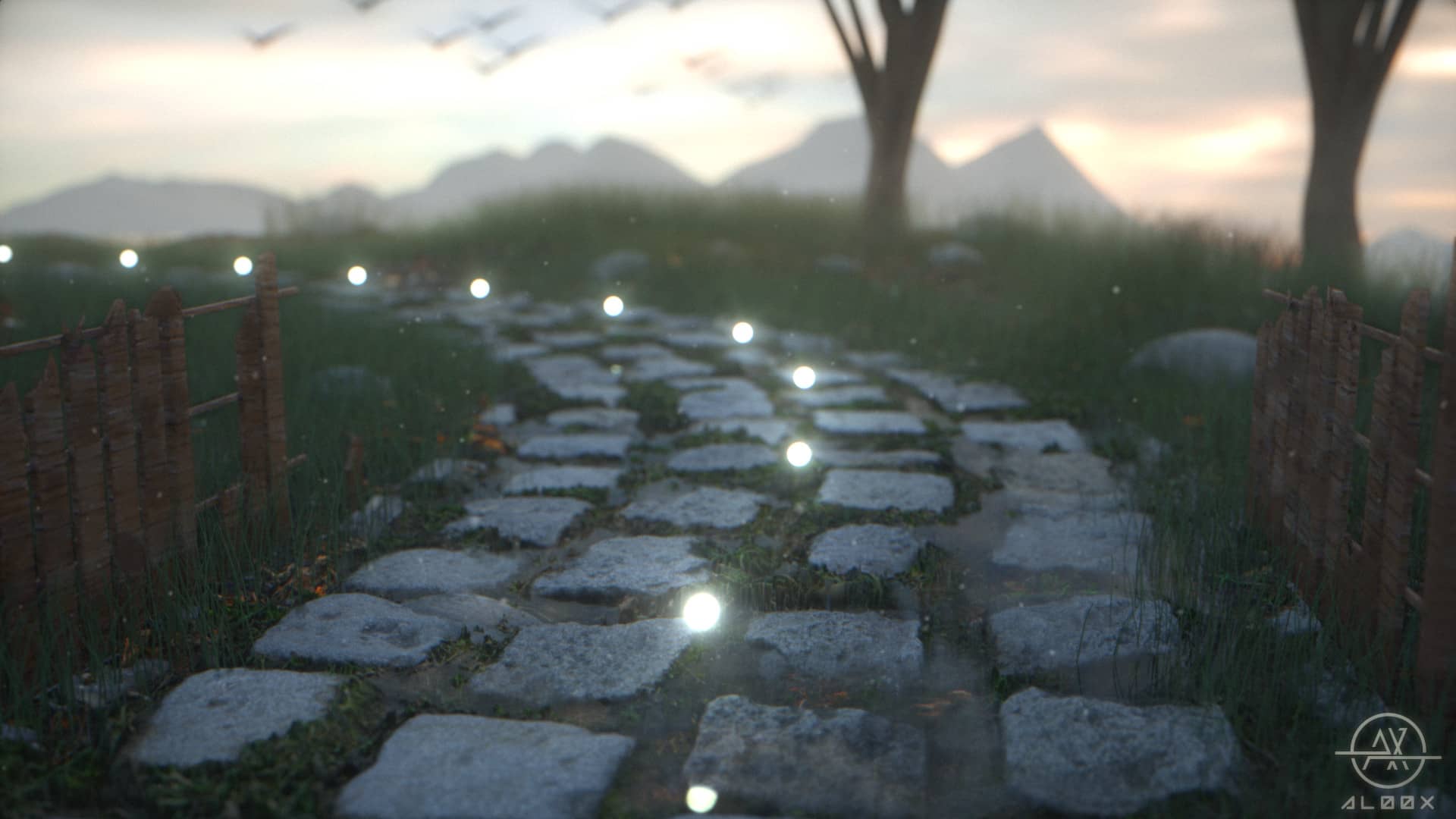 Follow The Lights