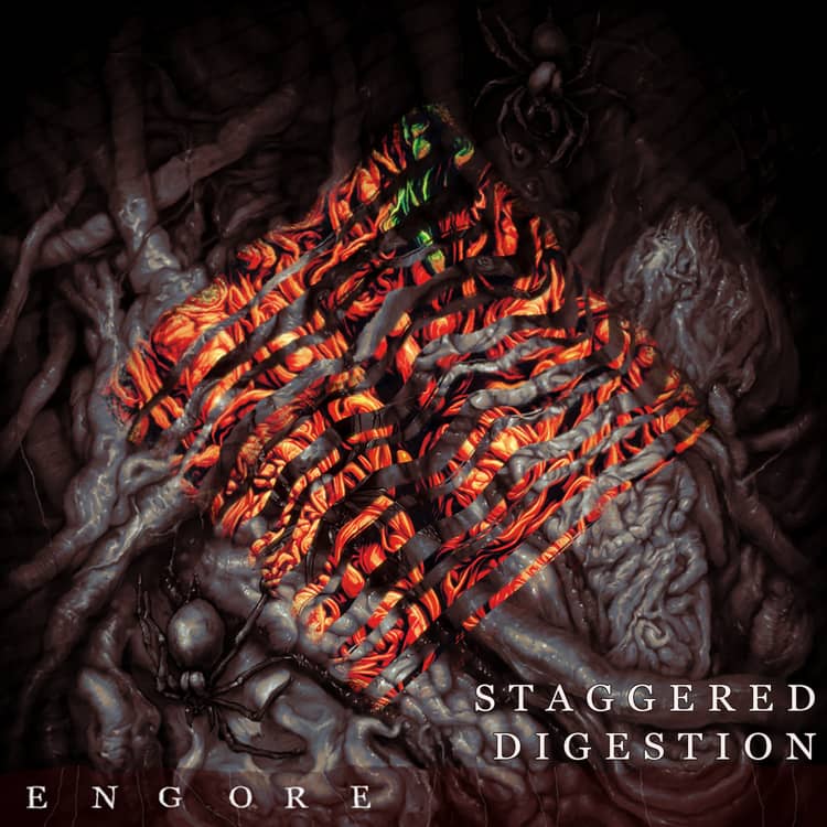 staggered-digestion